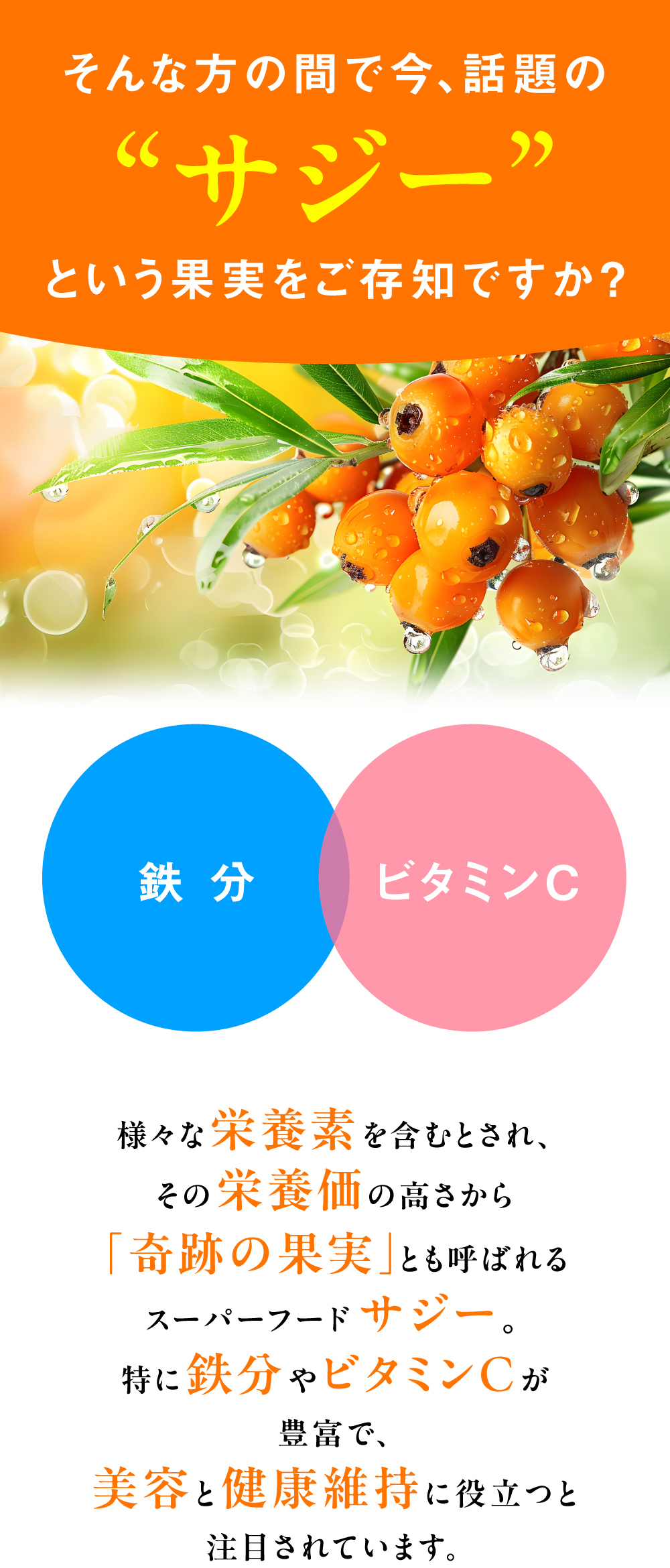 SEr^~ClXȉh{f܂ނƂẢh{̍uՂ̉ʎvƂĂ΂X[p[t[huTW[vB